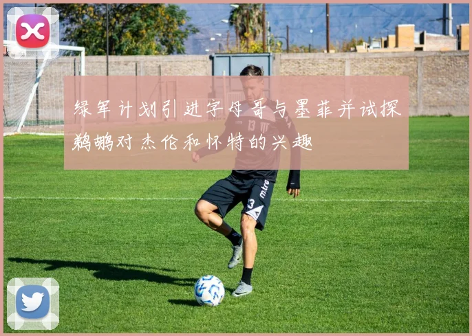 绿军计划引进字母哥与墨菲并试探鹈鹕对杰伦和怀特的兴趣